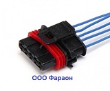 ������� ��� ������ ����