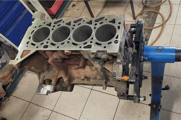 ������ ���������